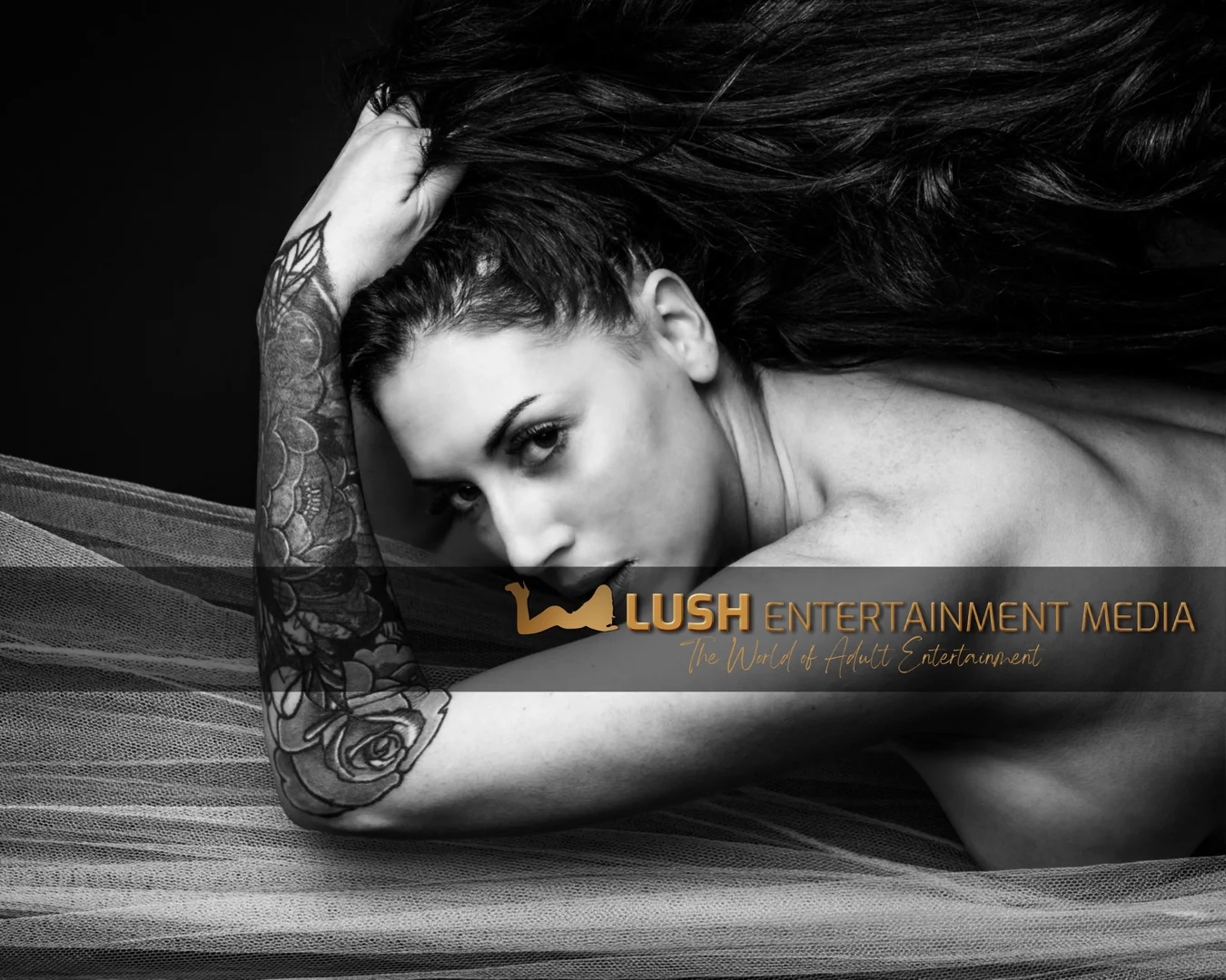 @lush_entertainment_media's profile cover
