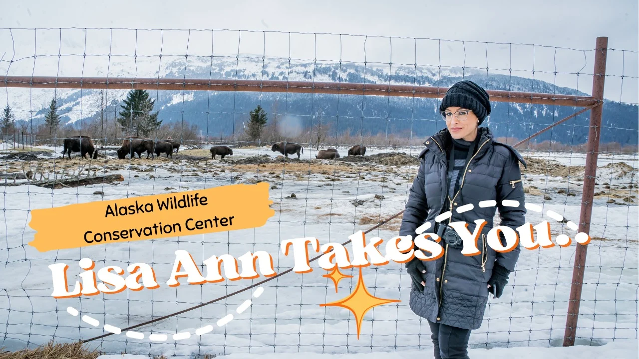 Touring the Alaska Wildlife Conservation Center 